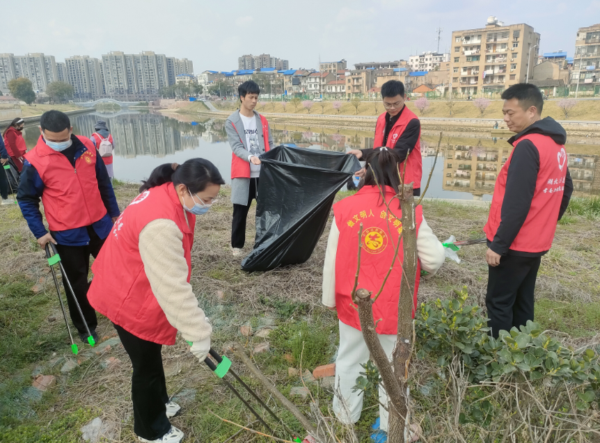 image image.png?v=1762619567231