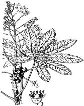 pagenumber_ebook=143,pagenumber_book=143