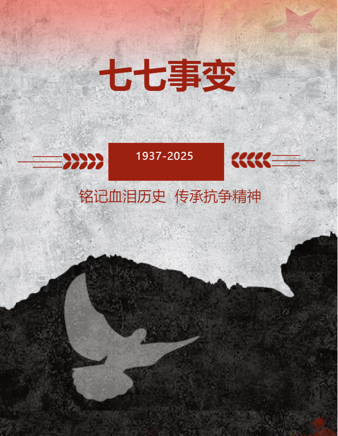 image.png?v=1751537719664