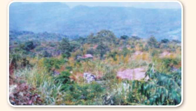 pagenumber_ebook=191,pagenumber_book=181