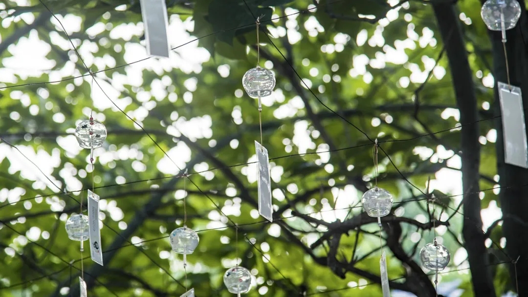 640.webp 640.webp.jpg