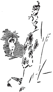 pagenumber_ebook=313,pagenumber_book=305