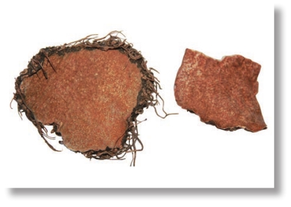 pagenumber_ebook=215,pagenumber_book=202