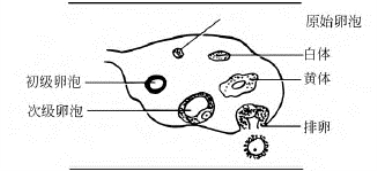pagenumber_ebook=677,pagenumber_book=677