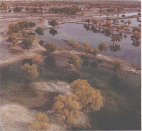 pagenumber_ebook=204,pagenumber_book=196