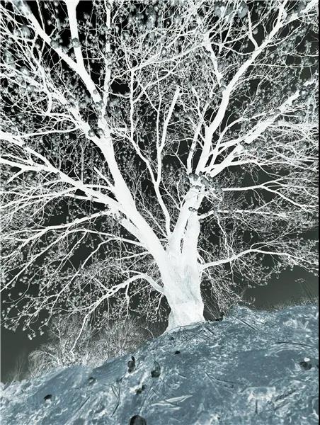 微信图片_20210318082730