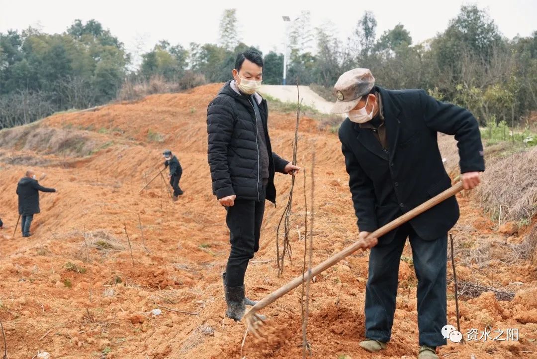 5 5.jpg?v=1765947851836