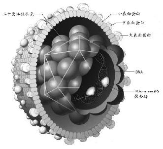 pagenumber_ebook=11,pagenumber_book=11