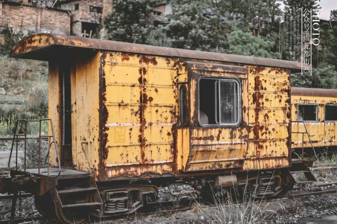 IMG_1444(20200417-111302) IMG_1444(20200417-111302).jpg?v=1765781105416