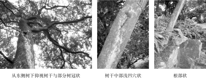 pagenumber_ebook=129,pagenumber_book=129