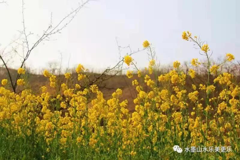 微信图片_20210404214024 微信图片_20210404214024.jpg