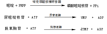 QQ图片20190429095531.png