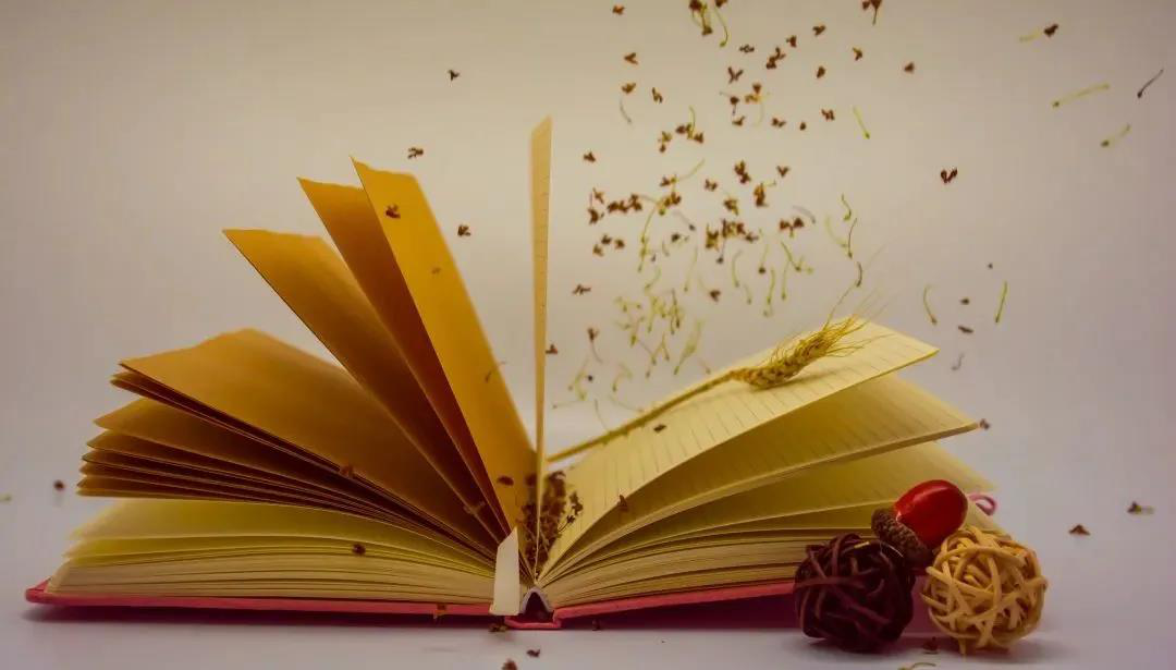 封面 封面.png?v=1763162688682