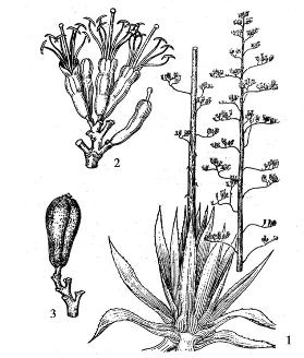 pagenumber_ebook=227,pagenumber_book=227