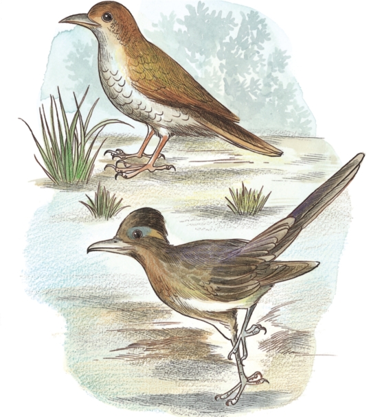 pagenumber_ebook=41,pagenumber_book=39