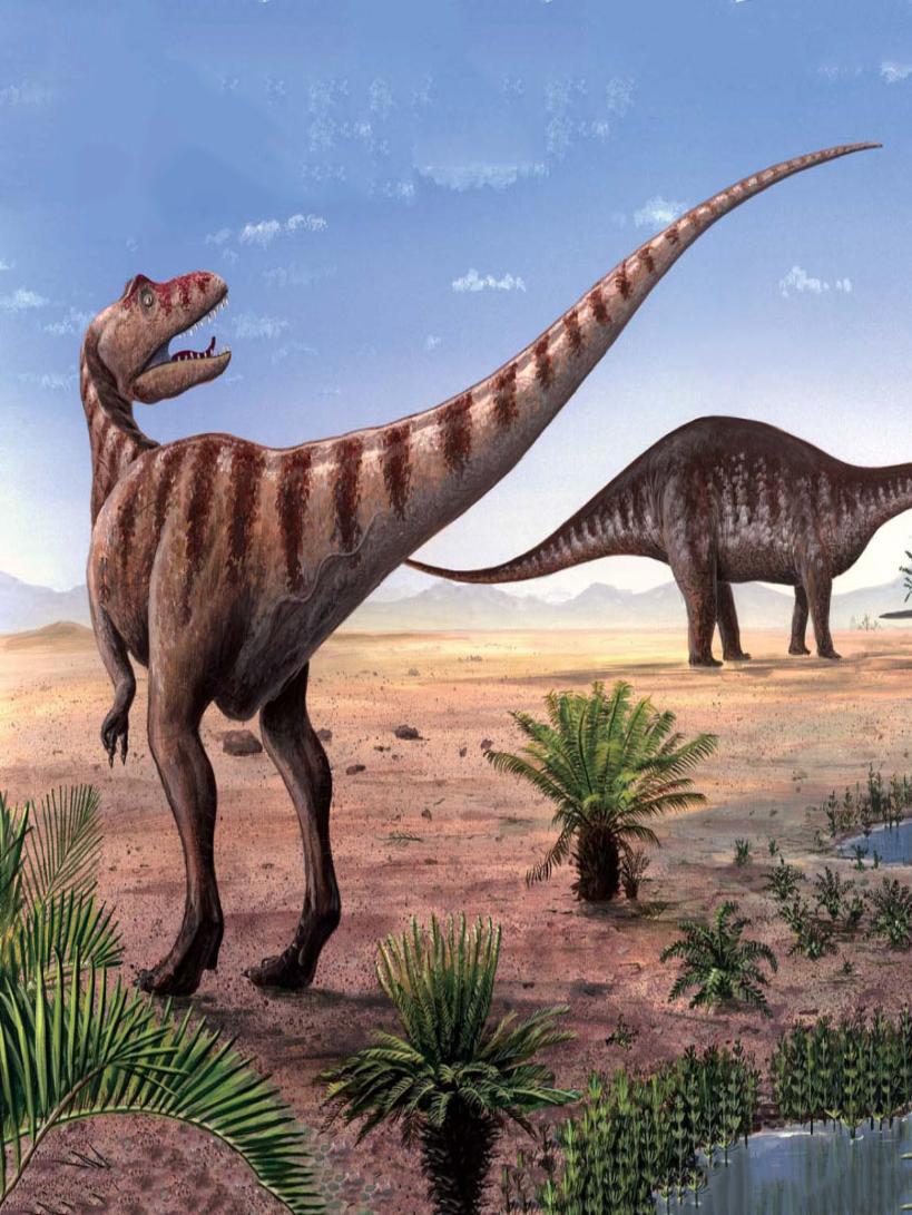 pagenumber_ebook=67,pagenumber_book=0