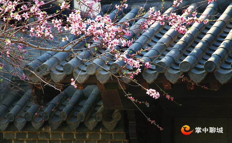 微信图片_20210330094123