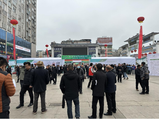 image image.png?v=1763891116319