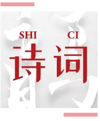 image image.png?v=1784632965246