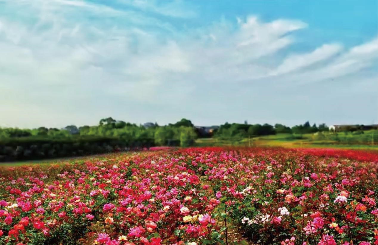 17 17.jpg?v=1762621086498