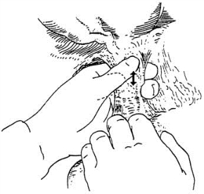 pagenumber_ebook=96,pagenumber_book=81