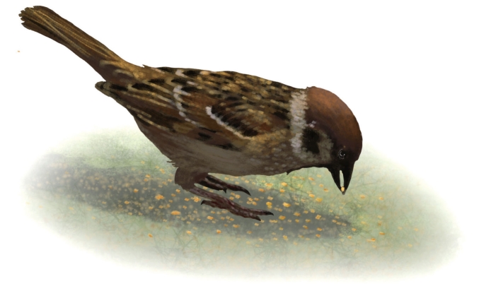 pagenumber_ebook=170,pagenumber_book=159