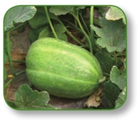 pagenumber_ebook=306,pagenumber_book=293