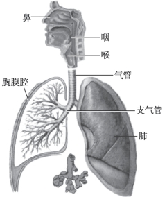 pagenumber_ebook=30,pagenumber_book=22
