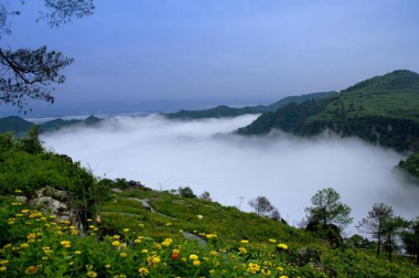 微信图片_20200614094935 微信图片_20200614094935.png