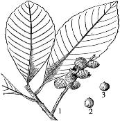 pagenumber_ebook=136,pagenumber_book=136