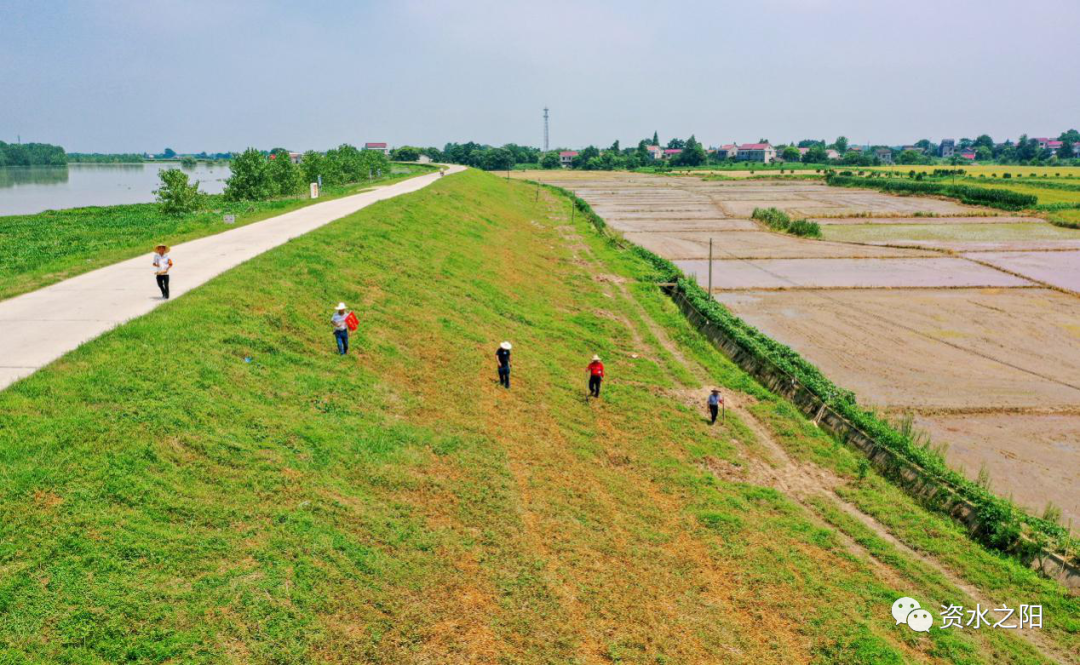 1 1.png?v=1765946446483