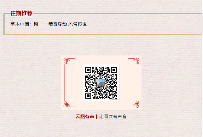 image.png?v=1762124792502