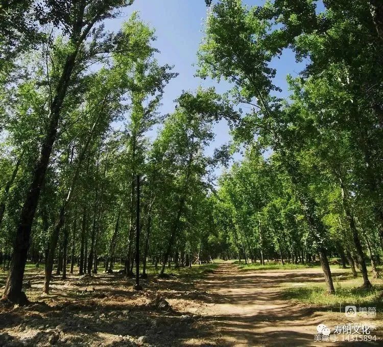 43e45154843dd2bfa6c6bf0e21ece1c4_640_wx_fmt=jpeg&wxfrom=5&wx_lazy=1&wx_co=1 43e45154843dd2bfa6c6bf0e21ece1c4_640_wx_fmt=jpeg&wxfrom=5&wx_lazy=1&wx_co=1.jpg