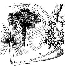 pagenumber_ebook=116,pagenumber_book=116