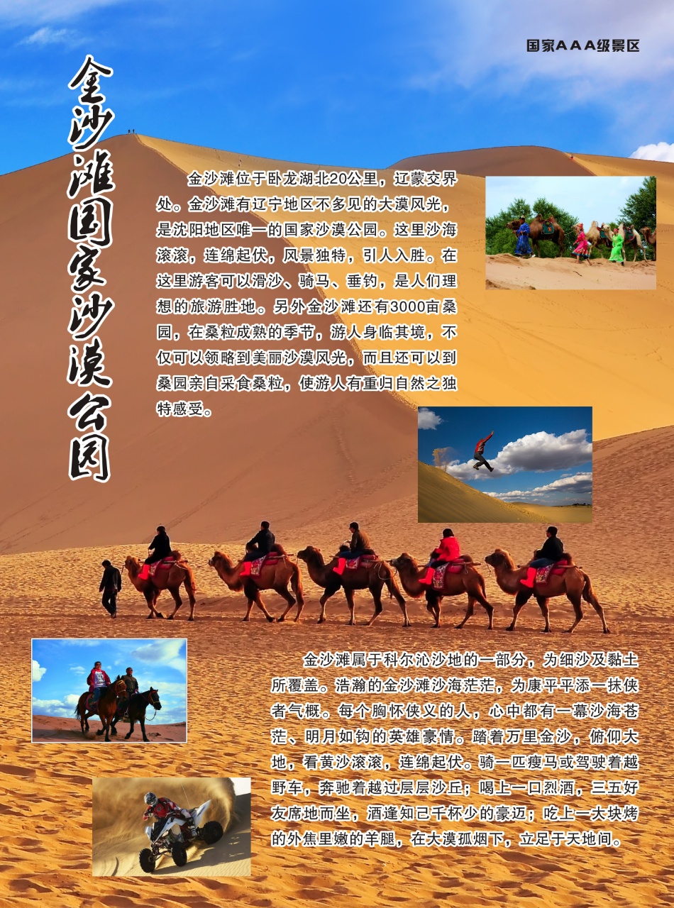 金沙滩 金沙滩.jpg