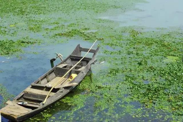 13 13.jpg?v=1762323976584