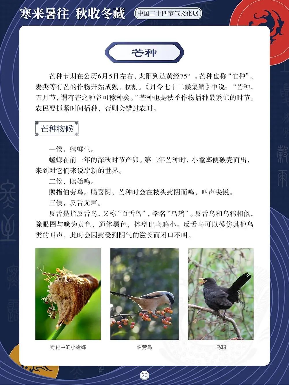 60338b682b78f92d02952e8db9855301 60338b682b78f92d02952e8db9855301.jpg