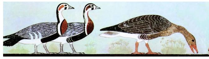 pagenumber_ebook=54,pagenumber_book=54