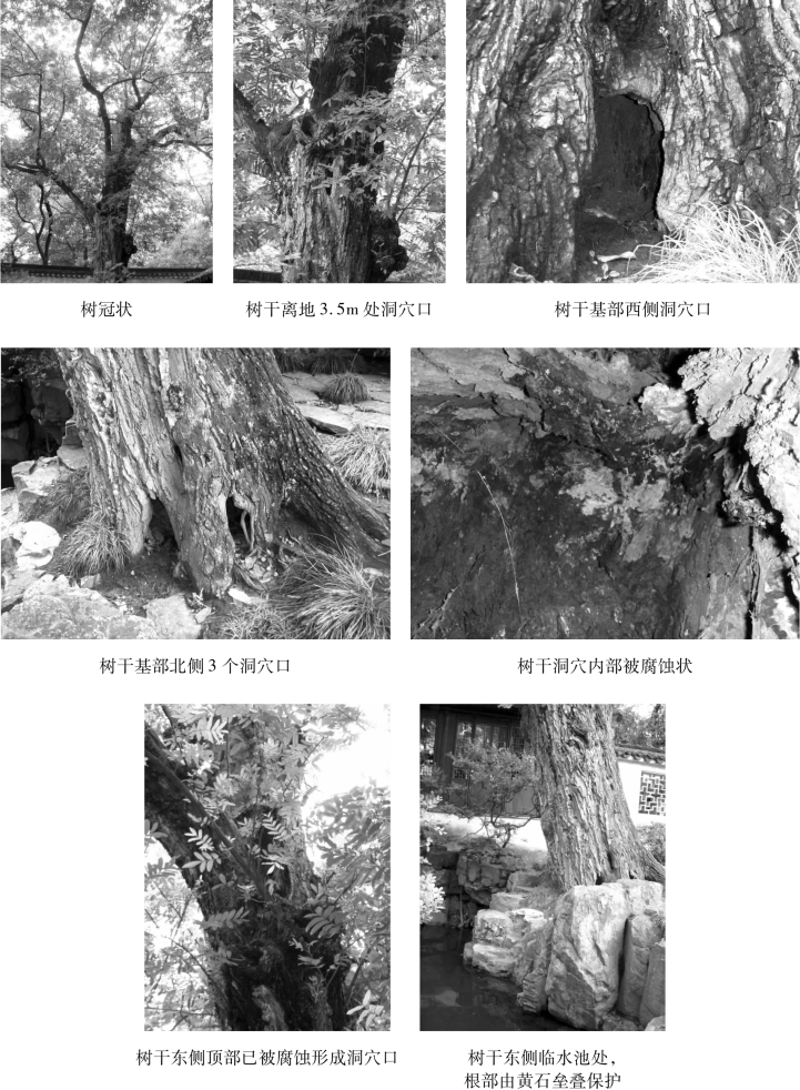 pagenumber_ebook=77,pagenumber_book=77