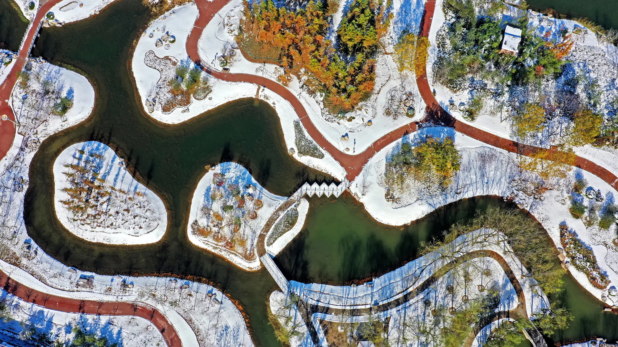 1_看图王 1_看图王.jpg