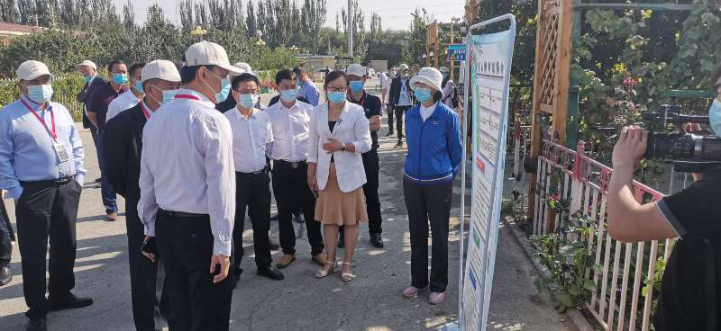 图片3 图片3.png?v=1765697569100