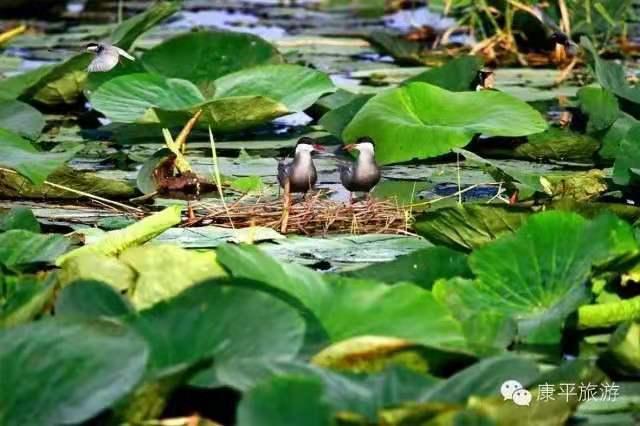 3b44f83e00d705bdc96eeab14cec095 3b44f83e00d705bdc96eeab14cec095.jpg