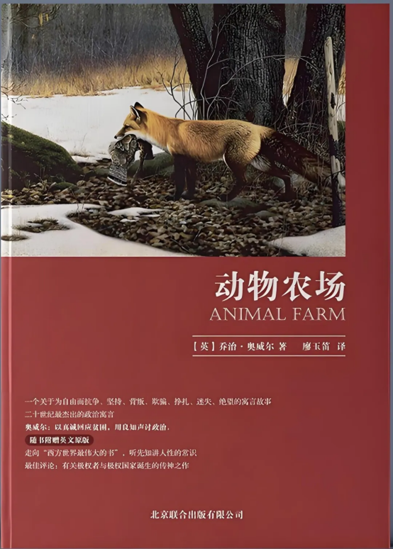 image image.png?v=1770180450715