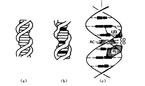 pagenumber_ebook=373,pagenumber_book=355