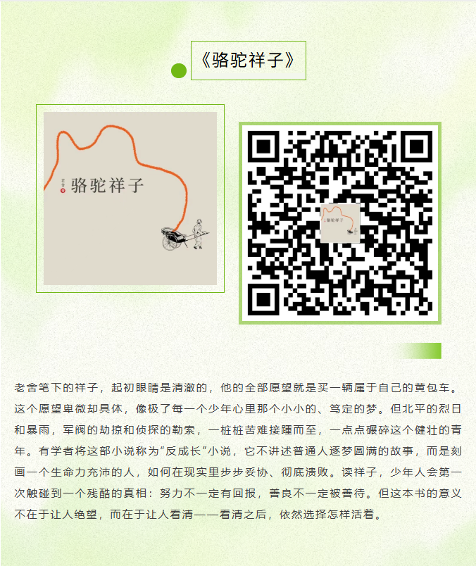 image.png?v=1785010462168