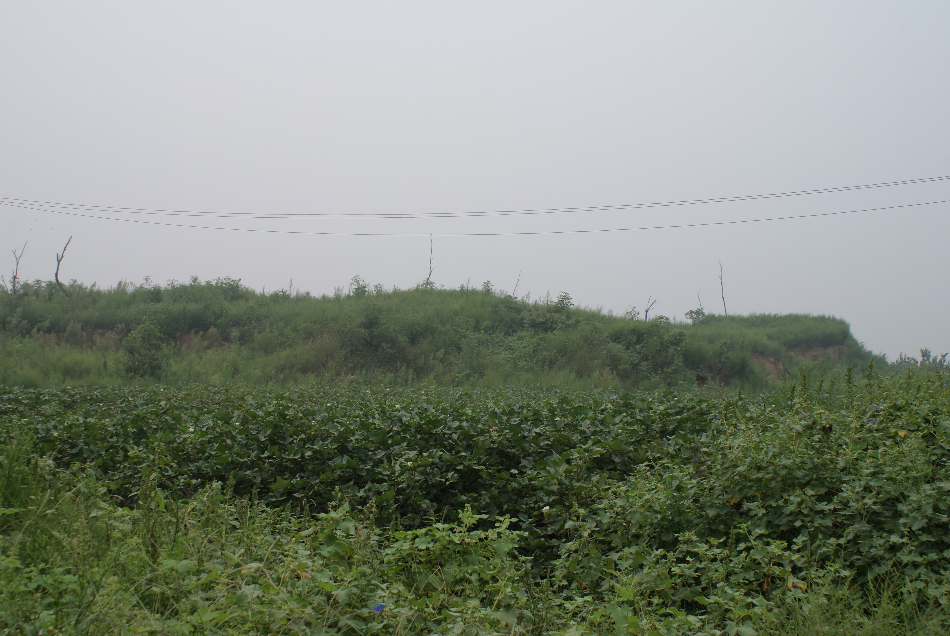 黄河故道 黄河故道.jpg