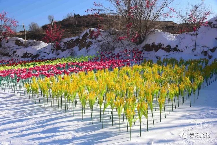 微信图片_20230201174704