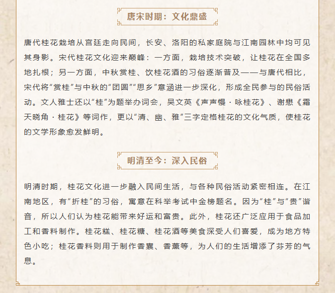 image.png?v=1762099910466