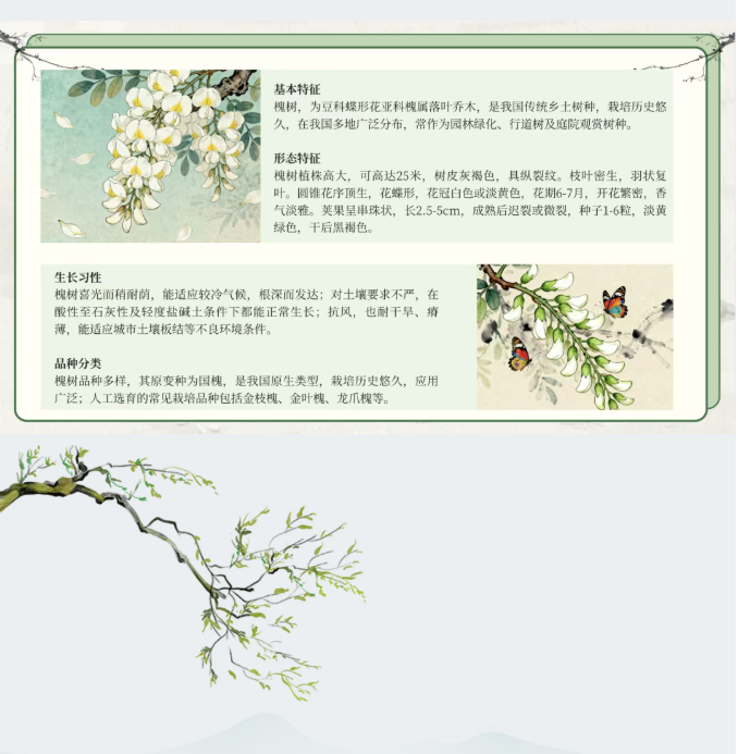 image.png?v=1766278387980