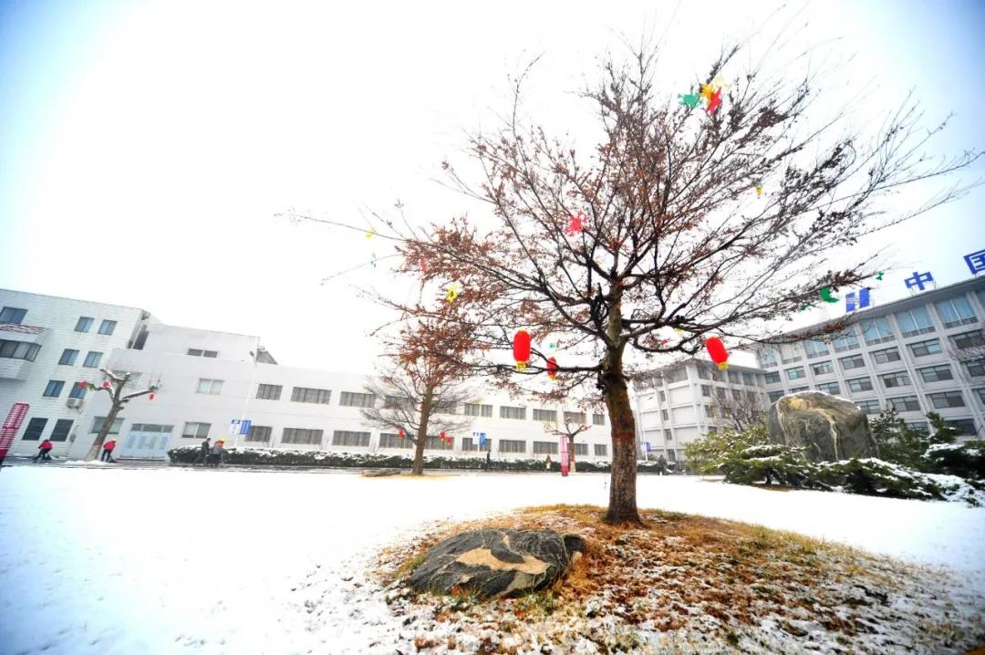 微信图片_20210301084925 微信图片_20210301084925.jpg